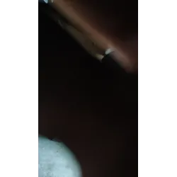 STEMMA ANT. FIAT DUCATO (2E) (02/02-06/06) 15 2.8 JTD PM CMB 4P/D/2798CC