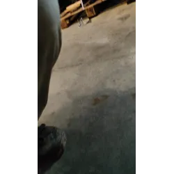 CAMBIO AUTOMATICO LANCIA DELTA (TH) (06/08-03/11) 1.6 MJT DPF ARGENTO BER. 5P/D/1598CC