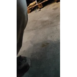 CAMBIO AUTOMATICO LANCIA DELTA (TH) (06/08-03/11) 1.6 MJT DPF ARGENTO BER. 5P/D/1598CC