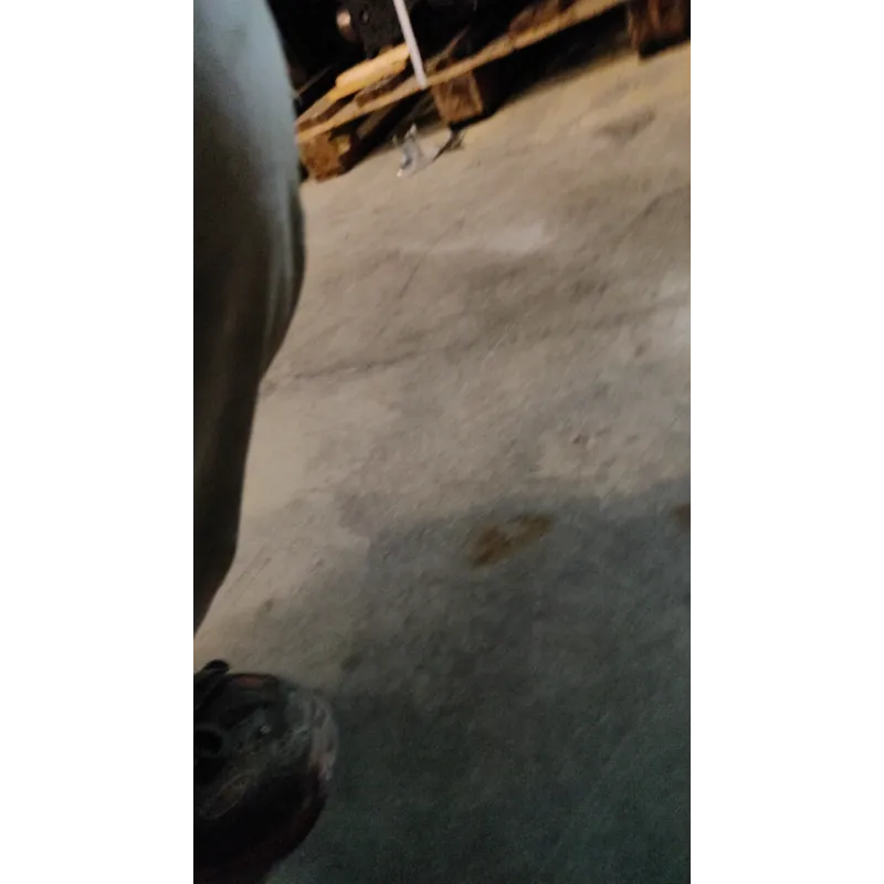 CAMBIO AUTOMATICO LANCIA DELTA (TH) (06/08-03/11) 1.6 MJT DPF ARGENTO BER. 5P/D/1598CC