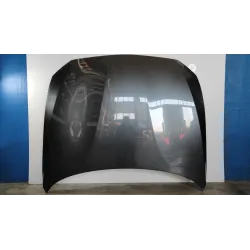 COFANO ANT. BMW SERIE 1 (F20) 5P (06/11-03/15 120D XDRIVE BER 5P/D/1995CC