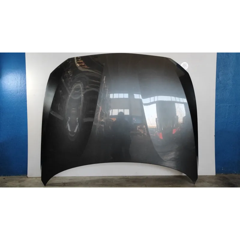 COFANO ANT. BMW SERIE 1 (F20) 5P (06/11-03/15 120D XDRIVE BER 5P/D/1995CC