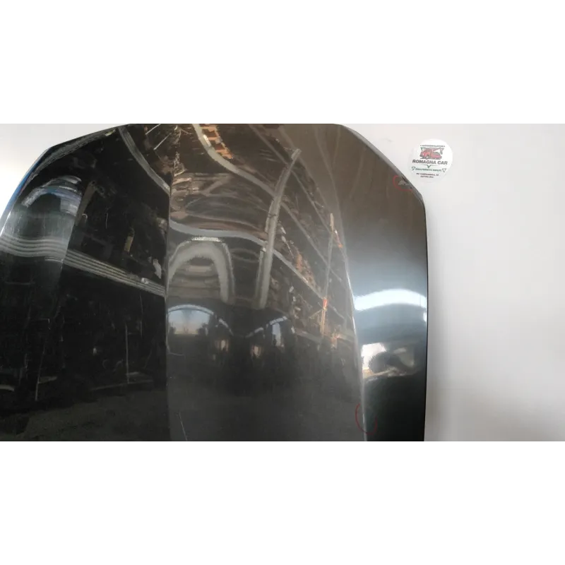 COFANO ANT. BMW SERIE 1 (F20) 5P (06/11-03/15 120D XDRIVE BER 5P/D/1995CC