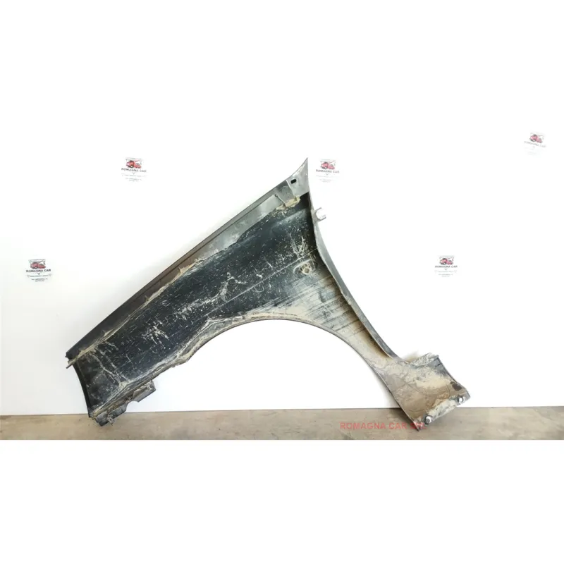 PARAFANGO ANT. DX. RENAULT CLIO 2A SERIE (05/01-11/10) 1.2 BER. 5P/B/1149CC