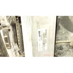 RADIATORE RENAULT KANGOO FURGONE (04/13-) 1.5 DCI (55KW) FAP FRG 4P/D/1461CC