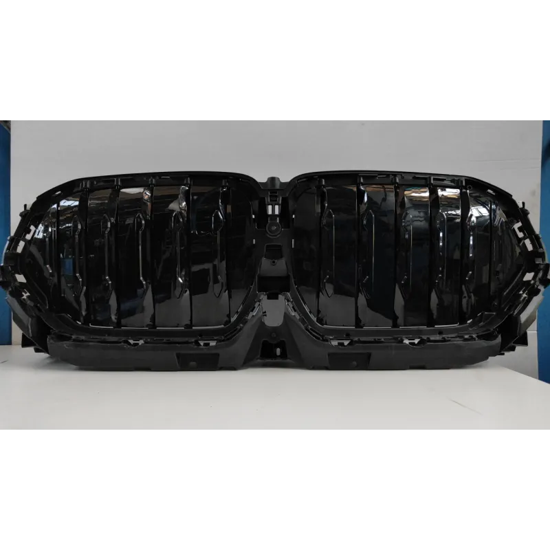 GRIGLIA BMW X5 (G05) (06/18-) XDRIVE40I SUV 5P/B/2998CC