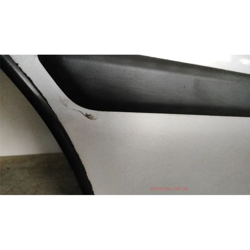 PORTA POST. DX. FIAT PANDA (3U) (09/09-09/11) 1.2 NATURAL POWER BER. 5P/B-M/1242CC