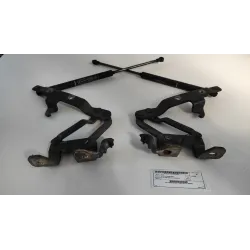 ASTA AMMORTIZZANTE COFANO ANT. DX. LANCIA THESIS (SJ) (06/02-04/08) 2.4 JTD EMBLEMA BER. 4P/D/2387CC