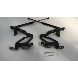 ASTA AMMORTIZZANTE COFANO ANT. DX. LANCIA THESIS (SJ) (06/02-04/08) 2.4 JTD EMBLEMA BER. 4P/D/2387CC