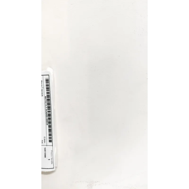 FANALE POST. DX. SKODA FABIA (54) (04/07-03/15) 1.2 (44KW) BER. 5P/B/1198CC