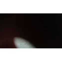 PANNELLO INT. PORTA POST. GRIGIO DX. FIAT GRANDE PUNTO (2Y) (06/05-12/08 1.3 MJT (55KW) BER 5P/D/1248CC